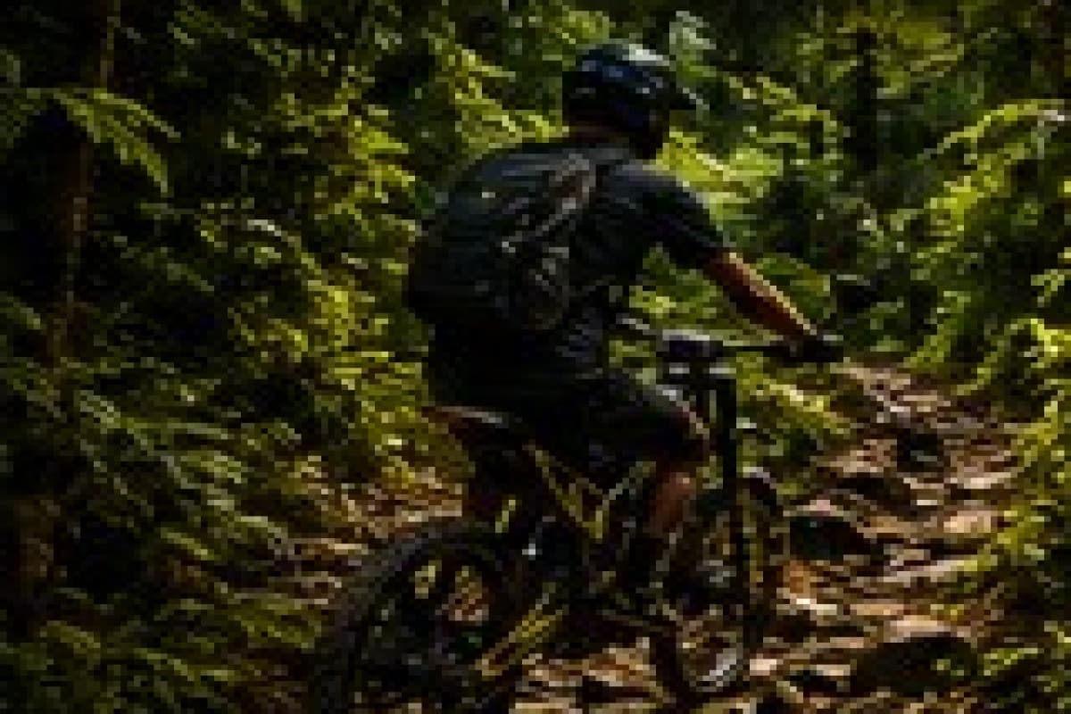 Surron electric bikes ready for adventure